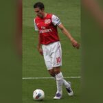Robin van Persie